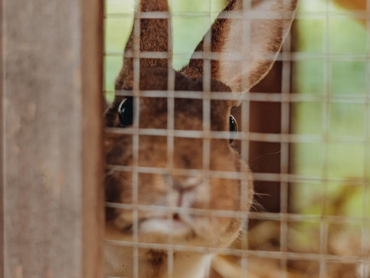 Ganze Wohnung, Residence Haus Kalterer See - Ferienwohnung Typ B in Klughammer, Pfatten