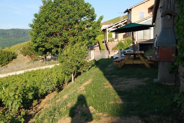 Gîte pour 12 personnes, avec jardin et vue à Vaux-en-Beaujolais - 2