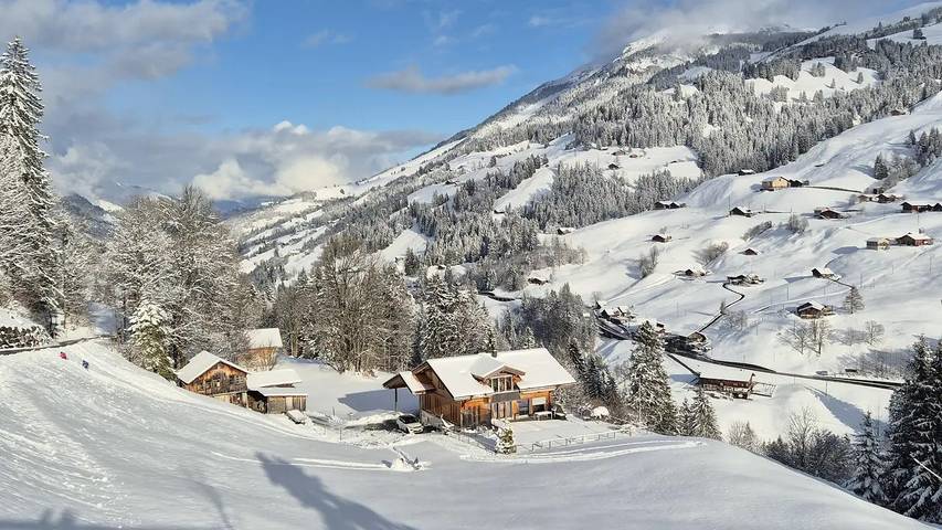 Gîte pour 4 personnes, avec balcon à Adelboden - 3