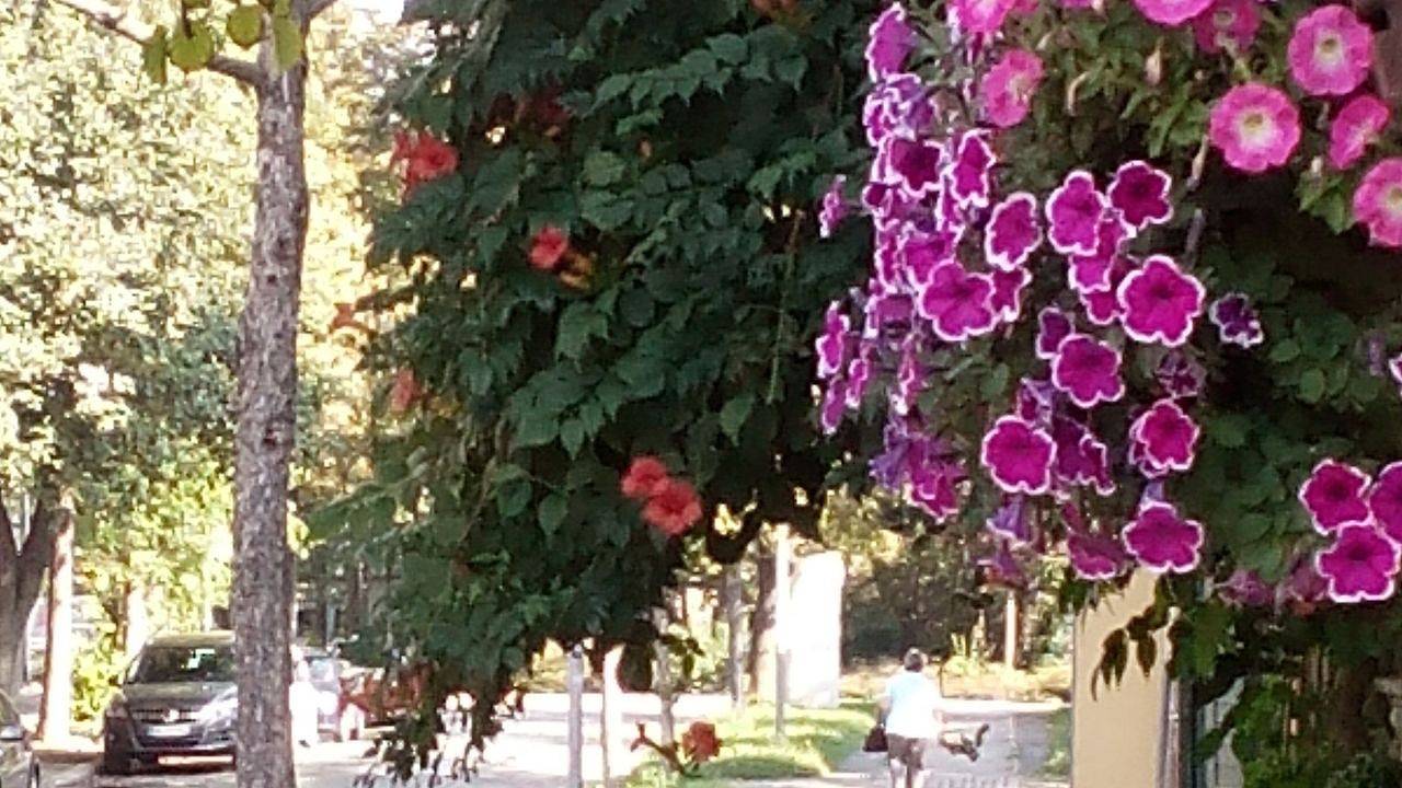 Ganze Ferienwohnung, Ferienwohnung für 5 Personen (72 m²) in Quedlinburg in Quedlinburg, Harzvorland