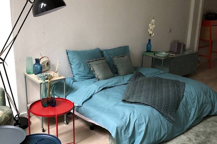 Delightful luxury home for business and private travelers (10P). Heart of downtown! in Dordrecht, Parque Nacional De Biesbosch