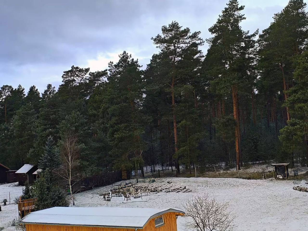Ganze Ferienwohnung, Ferienwohnungen im Heideblick - Gästesuite am Waldrand, Ausstieg auf Zeit in Walddrehna, Heideblick