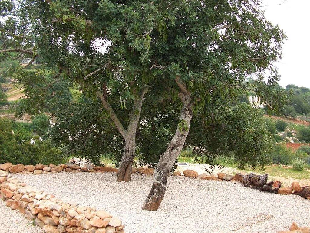 Casa de férias para 4 pessoas com jardim in Moncarapacho, Distrito de Faro
