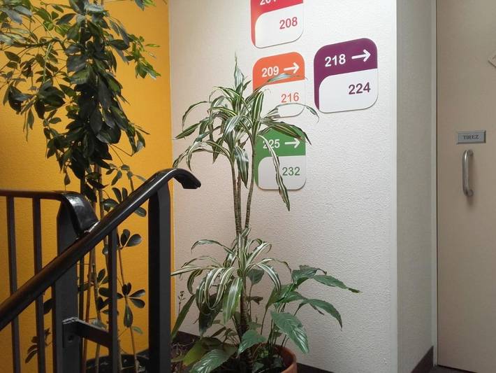 Hôtel pour 3 personnes, avec terrasse et jardin à Montauban - 3