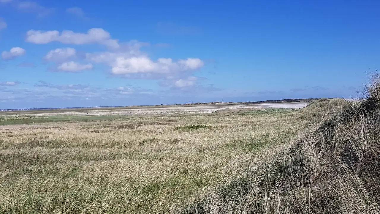 Ferienhaus für 8 Personen (118 m²) in Blåvand in Ho, Varde (Danmark)