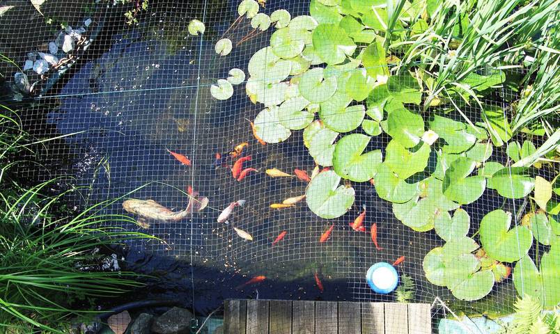 Ferienwohnung für 3 Personen, mit Garten in Kröpelin - 3