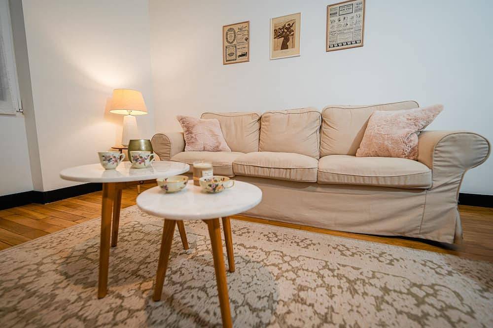 La Maison Janisse in Limoges, Limoges region