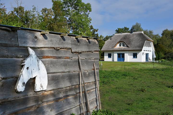 Ferienhaus für 6 Personen, mit Balkon und Sauna sowie Garten in Poseritz - 3