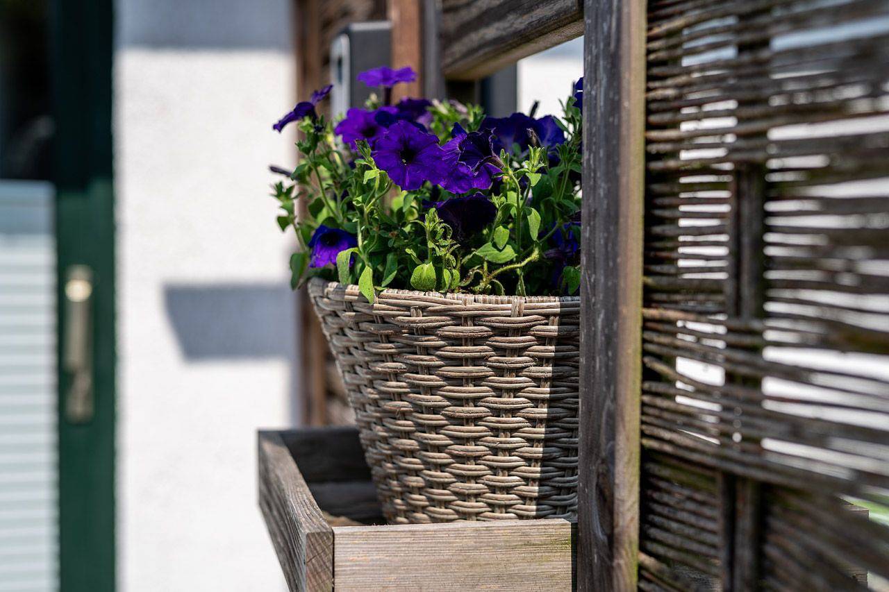 Ganze Wohnung, Familienfreundliche Ferienwohnung mit Terrasse, Grill und Waldnähe in Priborn in Priborn, Müritz