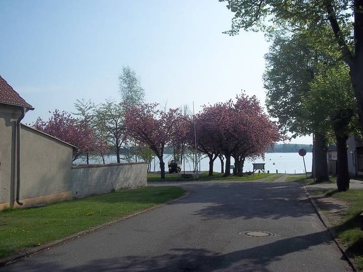 Ferienhaus für 4 Personen, mit Terrasse in Schwielochsee - 4