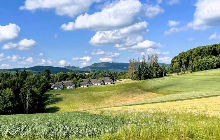 Ferienhaus für 8 Personen, mit Terrasse in Kirchheim - 4