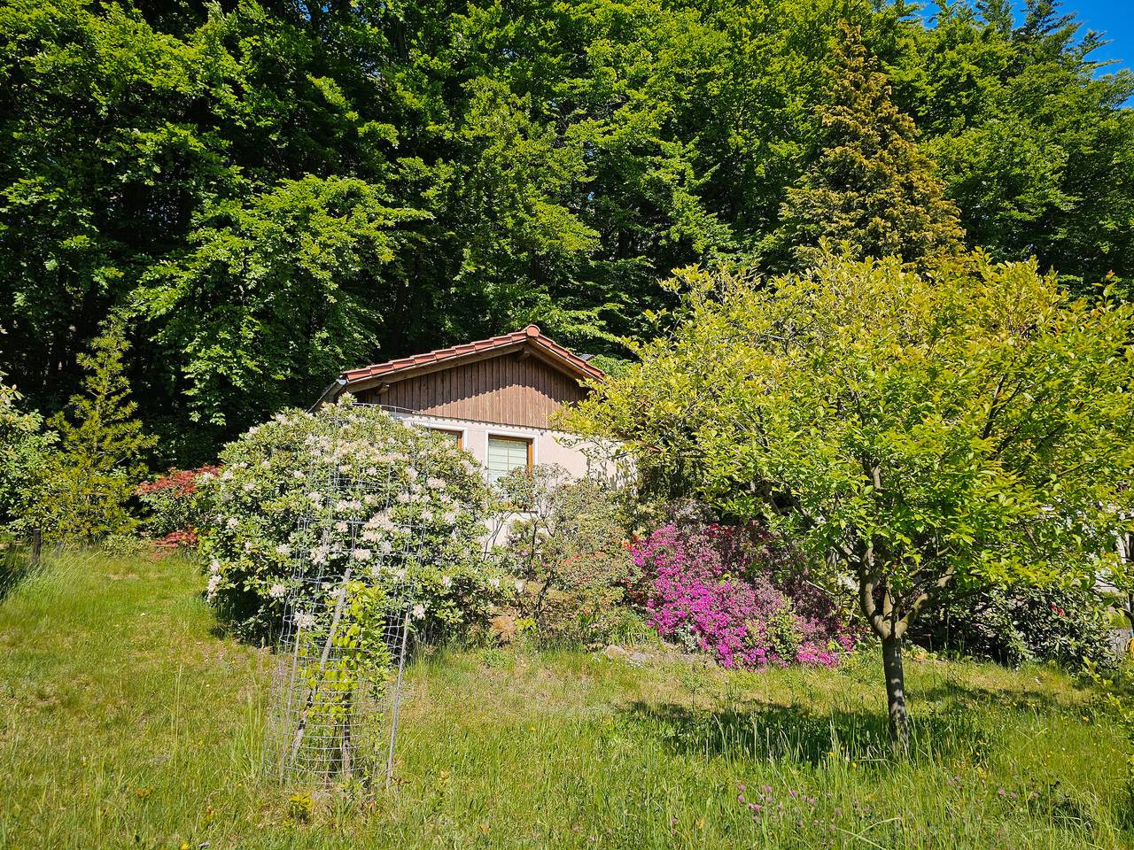 Holiday Home by the Forest with South-Facing View in Steina, Lausitz