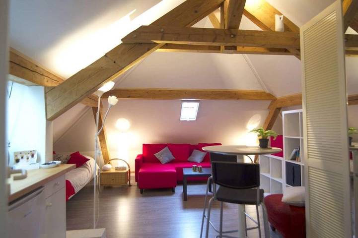Gîte pour 3 personnes, avec terrasse à Morges - 2
