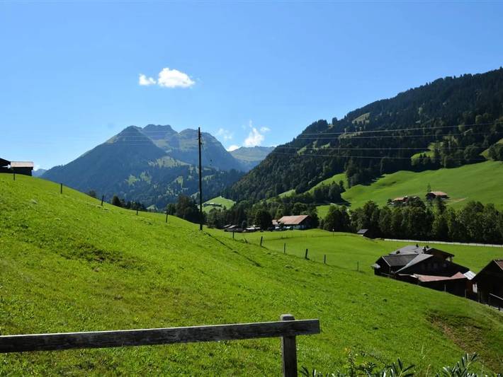 Ganze Wohnung, 3 Zimmer 4 Personen in Gstaad, Saanen