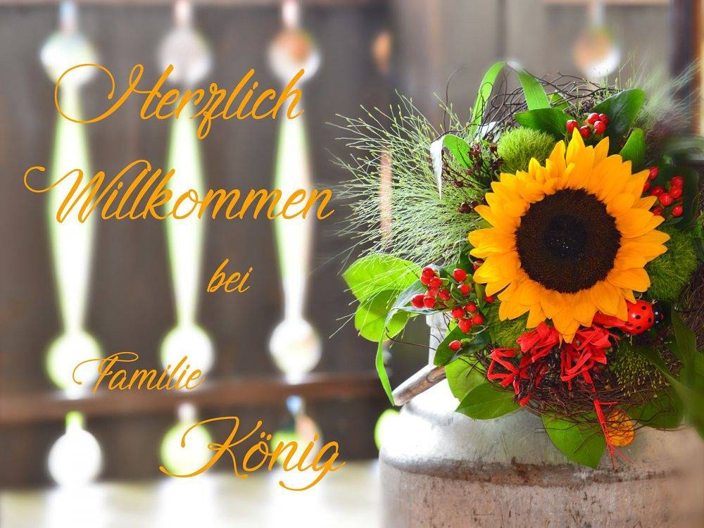 Bauernhof König - Mohnblume in Zwiesel, Ostbayern