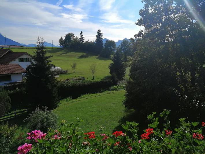 Ferienwohnung für 4 Personen, mit Garten und Balkon, mit Haustier am Forggensee - 2