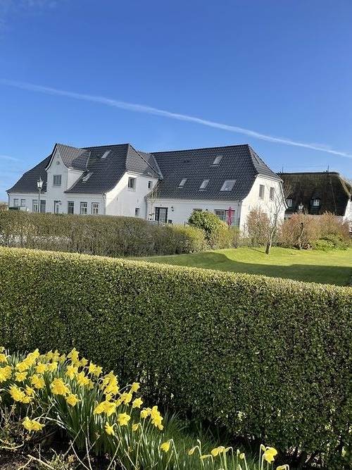 Ferienwohnung für 3 Personen, mit Terrasse und Garten, mit Haustier in Dunsum - 3