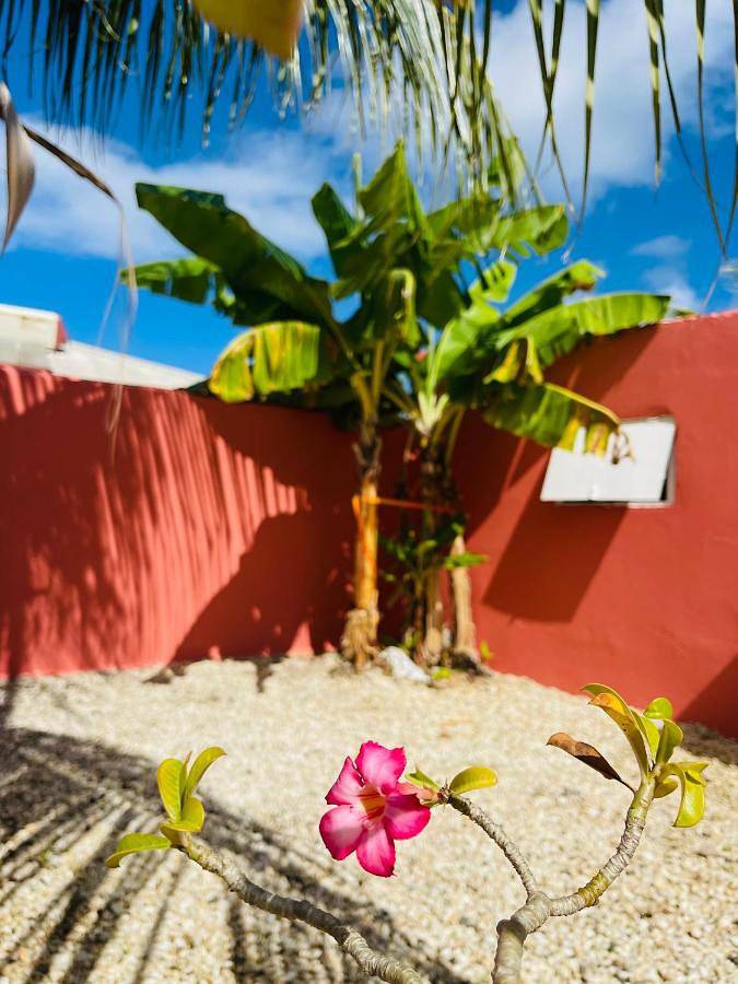 Location de vacances pour 4 personnes, avec piscine et terrasse dans Anse l'Etang - 3