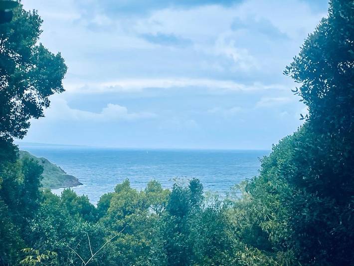 Location de vacances pour 2 personnes, avec piscine et jardin ainsi que vue et terrasse à Terre-de-Bas - 2