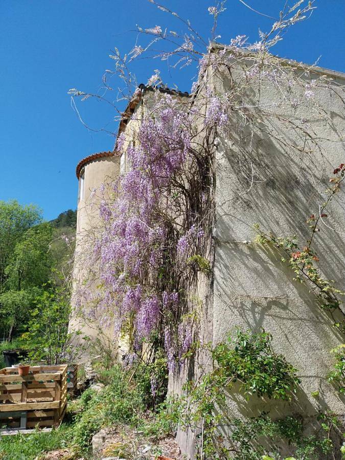 Location de vacances pour 6 personnes, avec jardin ainsi que piscine et vue à Saint-Laurent-le-Minier - 3