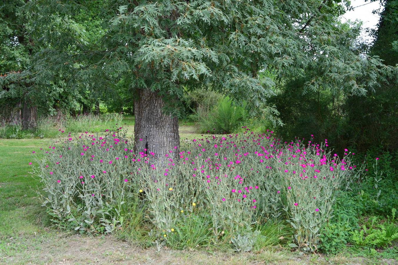 Chez Zélinde in Saint-Maurice-sur-Adour, Landes