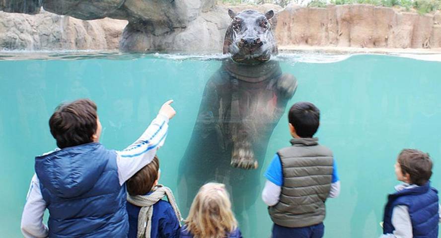Gîte pour 3 personnes, avec balcon et vue à Giaveno - 4