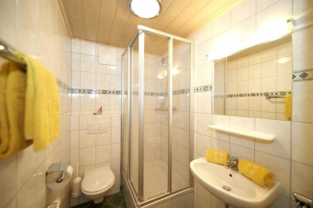 Fewo Typ 1 (2-4 Personen/1 Sz, 1 Wsr) in Flachau, Ski Amadé