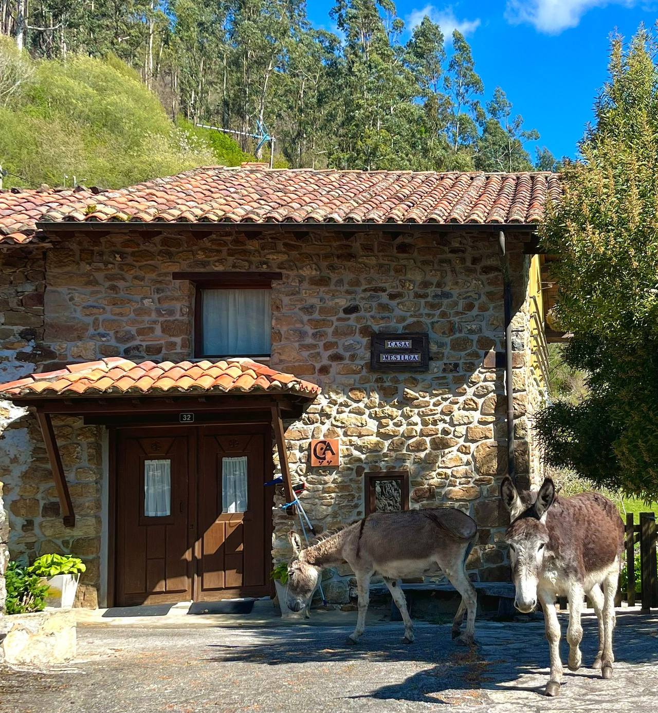 Casa di campagna 'Mesilda' con vista sulle montagne, terrazza privata e balcone in Penamellera Baja, Sierra del Cuera