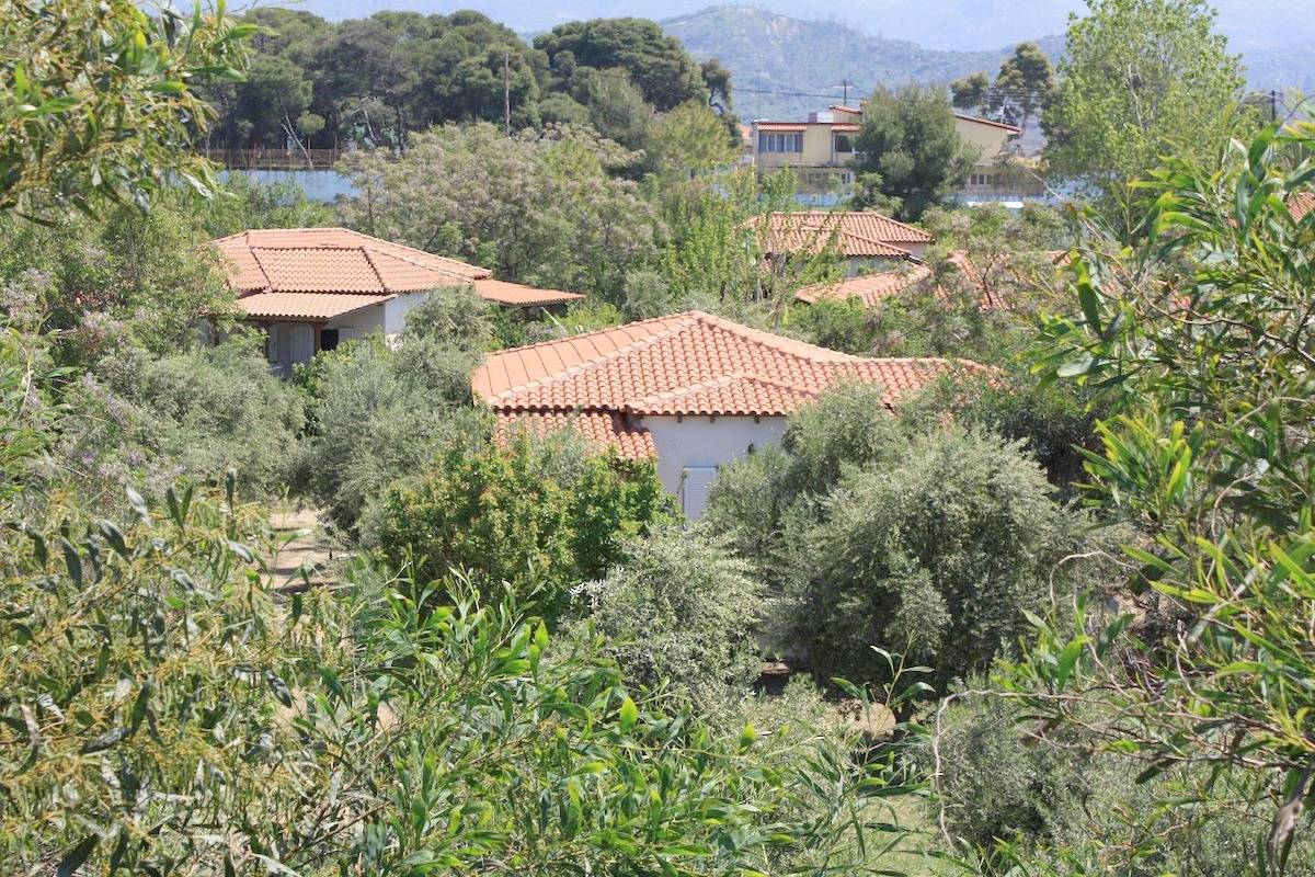 Ruhig gelegen, inmitten eines Olivenhains, nah zum Strand, Wifi | Ferienhaus Ilia, Peloponnes in Golf von Kyparissia