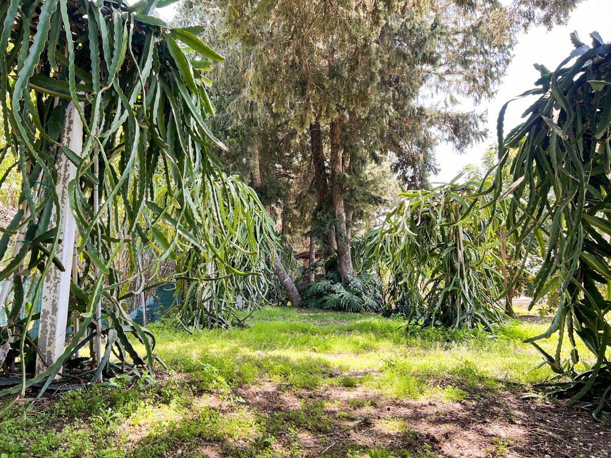 Geheel appartement, Tropical Garden Faliraki Rhodes in Faliraki, Rhodos