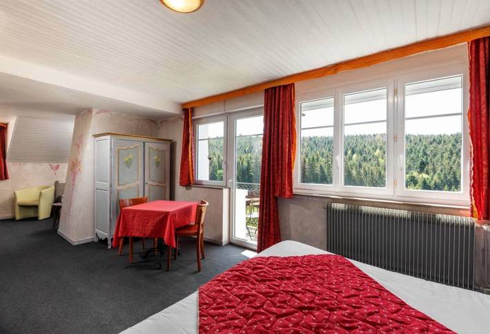 Hôtel pour 2 personnes, avec jardin et terrasse, animaux acceptés à Girmont-Val-d'Ajol - 4