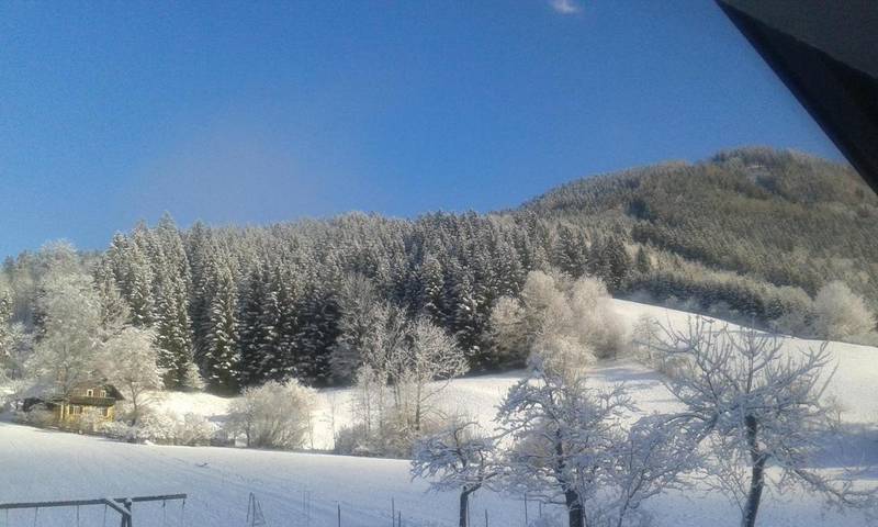 Ferienhaus für 6 Personen, mit Ausblick und Seeblick sowie Garten in Lunz am See - 4
