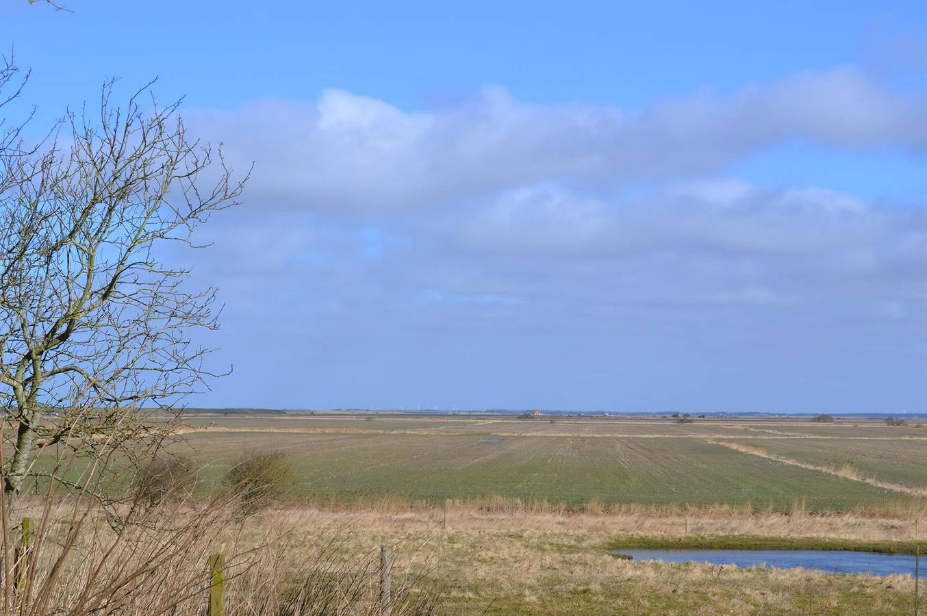 6 bedroom pet friendly home in Bredebro in Tondern und Umgebung