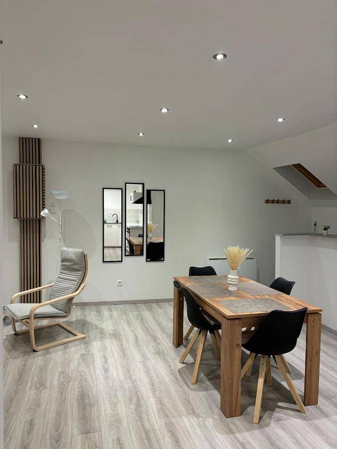 Appartement entier, One-Bedroom Apartment in Haveluy, Région de Valenciennes