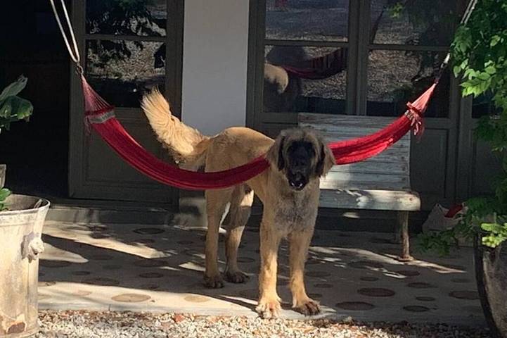 Casa de férias para 6 pessoas em Arraiolos