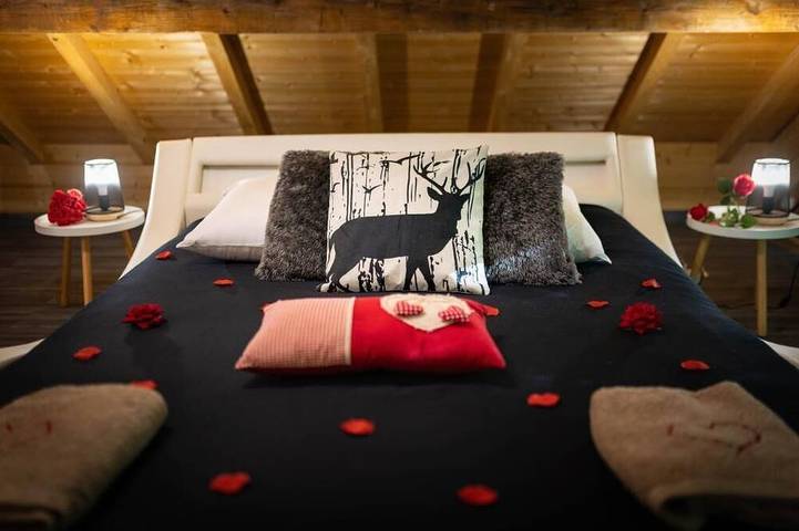 Gîte pour 3 personnes, avec jacuzzi dans Réservoir de Bouzey - 2