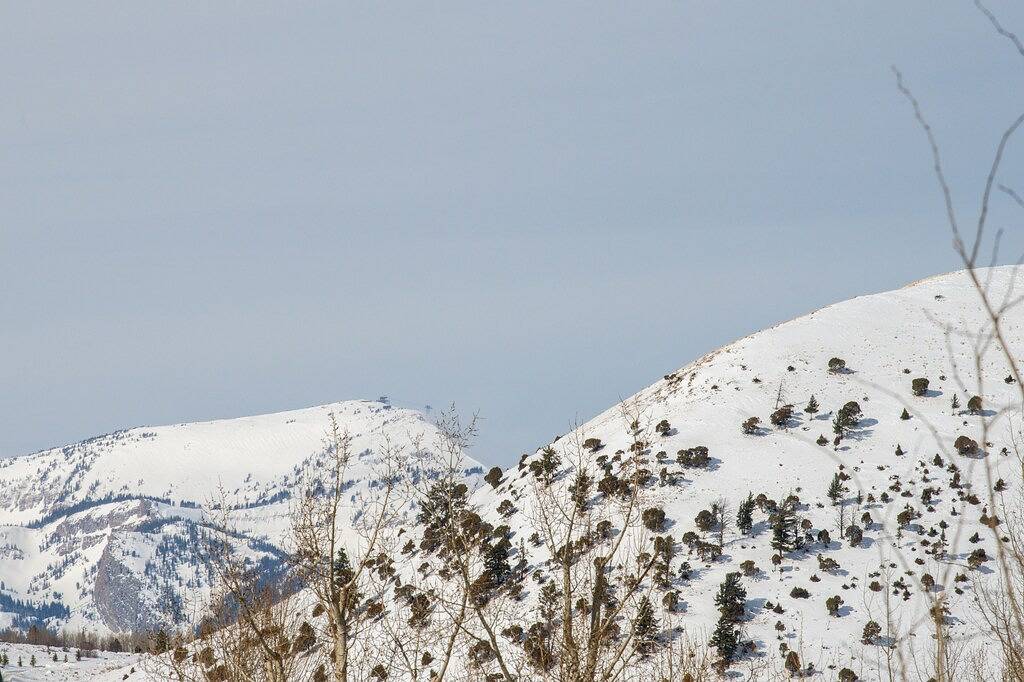 Ganze Wohnung, Outpost: Love Ridge 242- Close to town! in Jackson (WY), Grand Teton Nationalpark