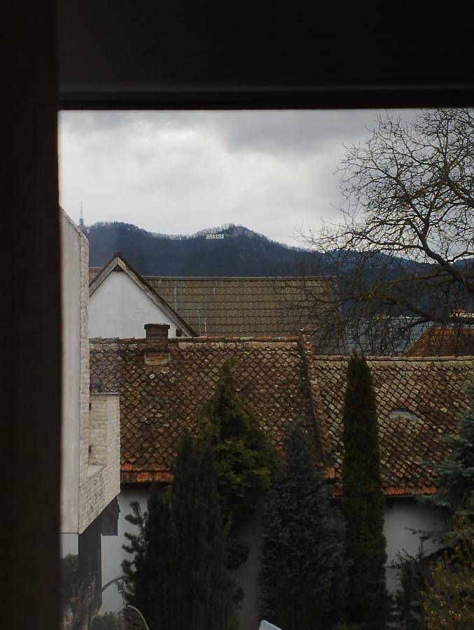 Maison d’hôte pour 3 personnes, avec Terrasse et Jardin à Brașov - 4