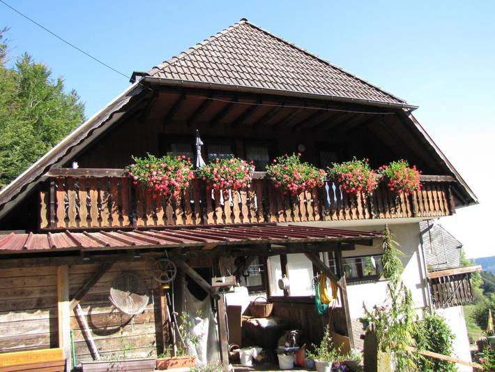 Gîte pour 5 personnes, avec jardin, animaux acceptés à Schramberg - 2