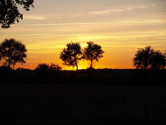 Location de vacances pour 2 personnes, avec vue et jardin, animaux acceptés à Noyal-Muzillac - 4