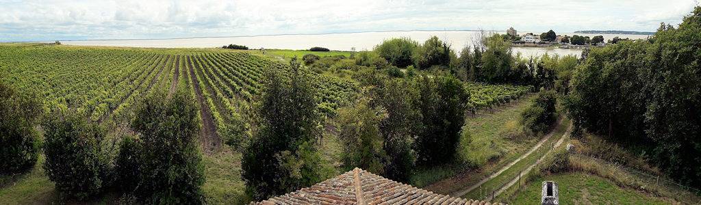 Grand gîte en bord d'estuaire in Talmont-sur-Gironde, Région de Saintes