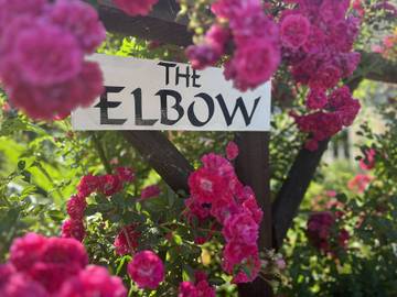 Kasteel voor 4 Personen in Zuid-West Engeland, Dorset, Afbeelding 2