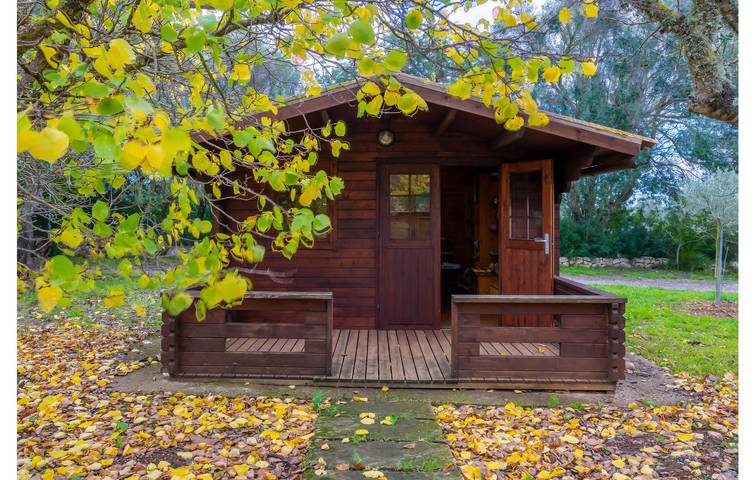 Finca mit Pool für 6 Personen, mit Garten und Terrasse in Manacor - 2