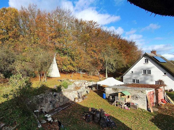 Ferienhaus für 4 Personen, mit Garten und Sauna, mit Haustier in Zirkow - 3