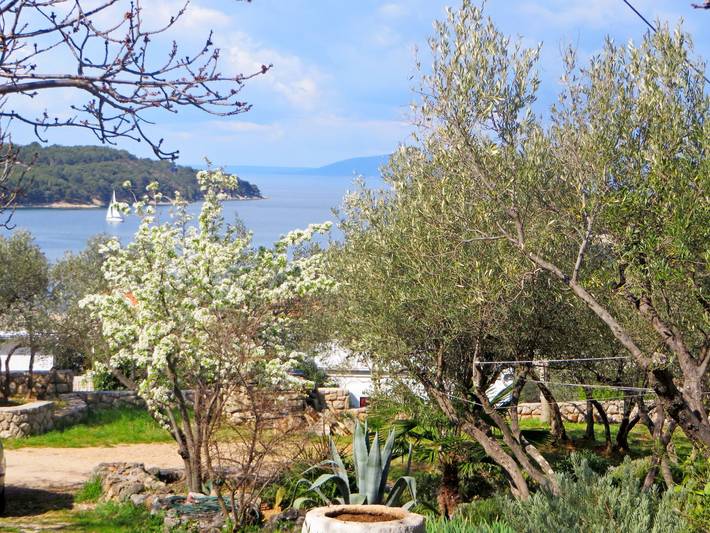 Ganze Wohnung, Apartments Marija in Cres Stadt, Cres