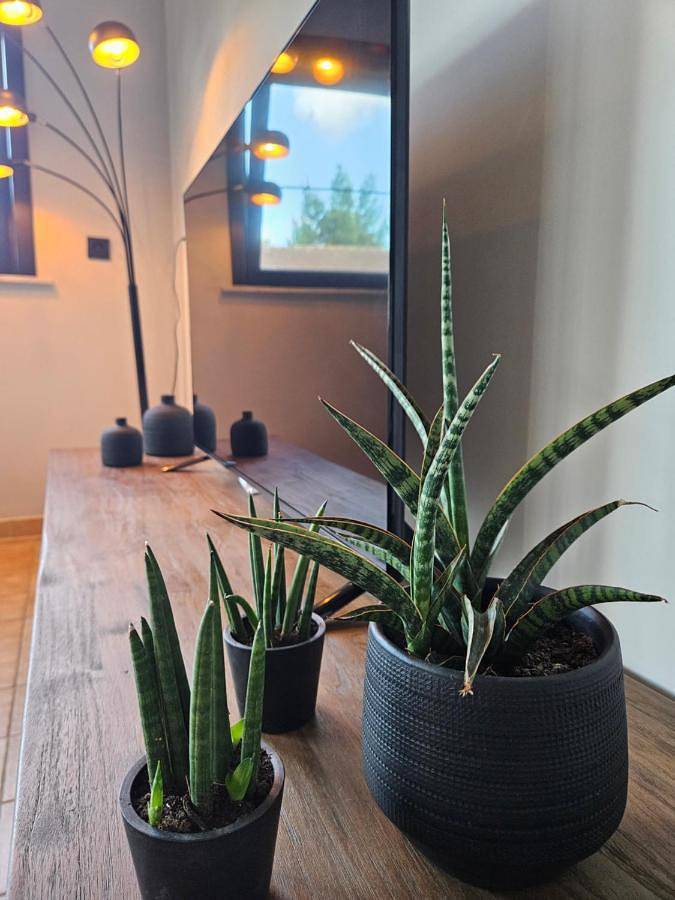 Location de vacances pour 6 personnes, avec jardin dans Lombardsijde - 3