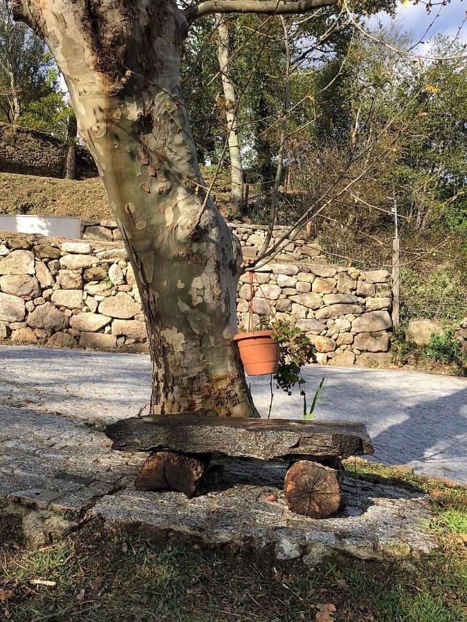 Location de vacances pour 5 personnes, avec jardin ainsi que piscine et vue, animaux acceptés à Ribeira de Pena - 3