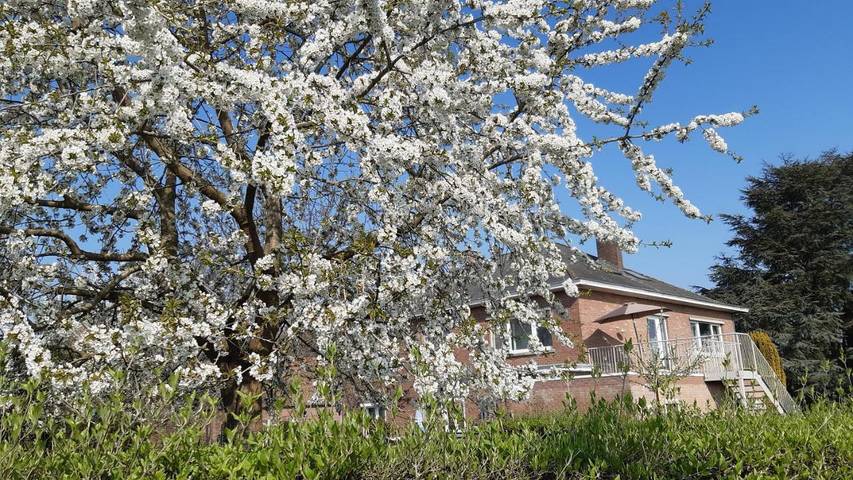Location de vacances pour 3 personnes, avec jardin et vue à Kortessem