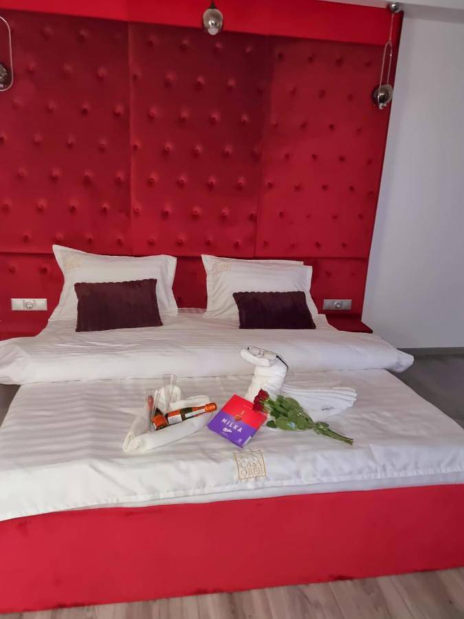 Chambre d’hôte pour 3 personnes, avec Terrasse ainsi que Jardin et Vue à Brașov - 3