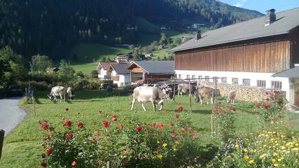Bauernhof für 5 Personen in Neustift im Stubaital, Innsbruck Land, Bild 2